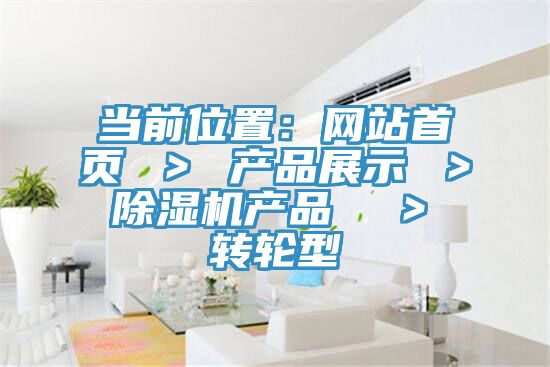 當前位置：網站首頁 ＞ 產品展示 ＞ 草莓污视频在线看產品  ＞ 轉輪型