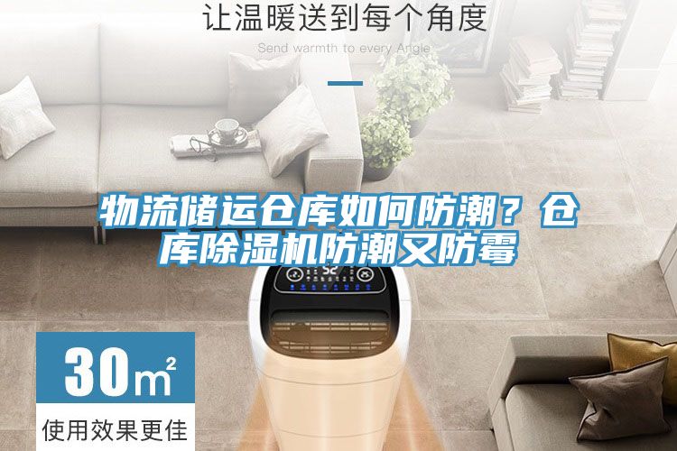 物流儲運倉庫如何防潮？倉庫草莓污视频在线看防潮又防黴