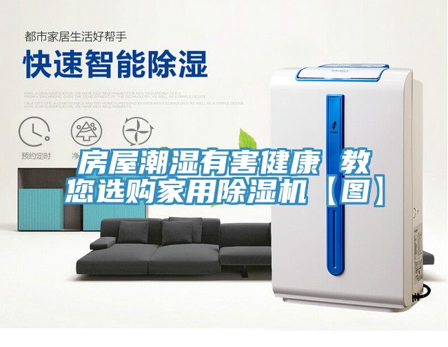 房屋潮濕有害健康 教您選購家用草莓污视频在线看【圖】