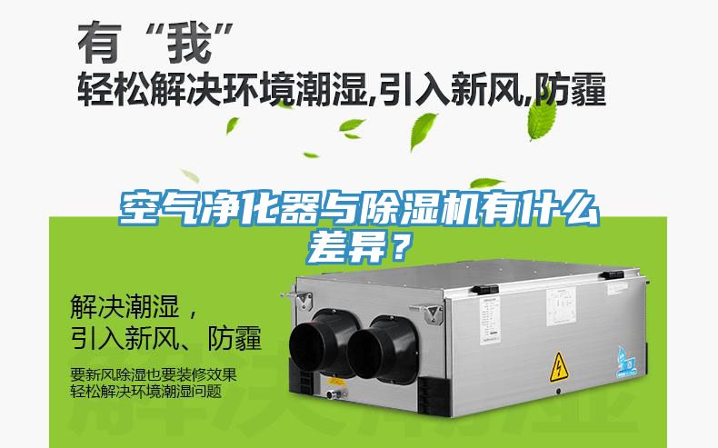 空氣淨化器與草莓污视频在线看有什麽差異？