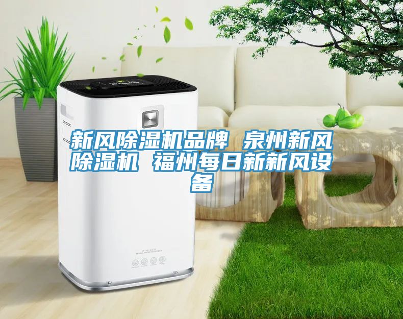新風草莓污视频在线看品牌 泉州新風草莓污视频在线看 福州每日新新風設備