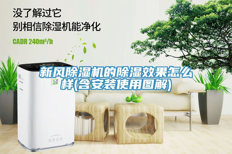 新風草莓污视频在线看的除濕效果怎麽樣(含安裝使用圖解)