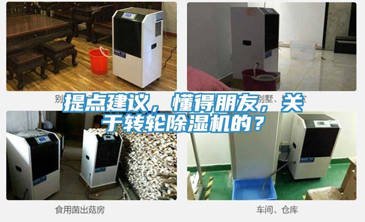 提點建議，懂得朋友，關於轉輪草莓污视频在线看的？