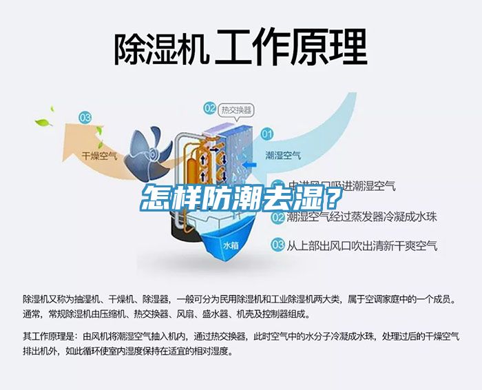怎樣防潮去濕？