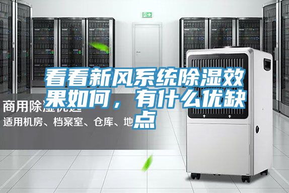 看看新風係統除濕效果如何，有什麽優缺點