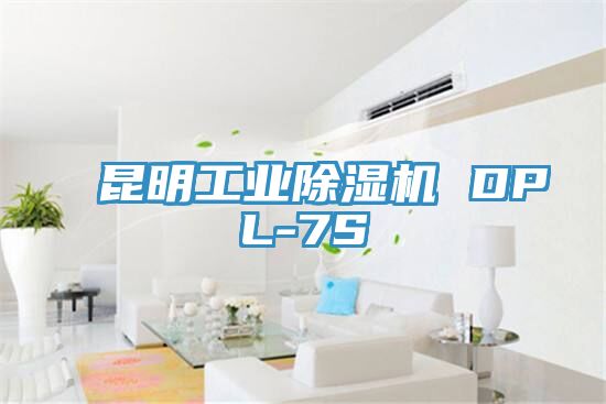 昆明工業草莓污视频在线看 DPL-7S