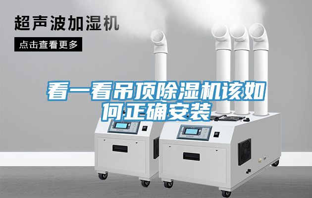 看一看吊頂草莓污视频在线看該如何正確安裝