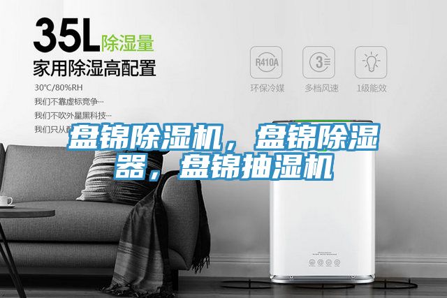 盤錦草莓污视频在线看，盤錦除濕器，盤錦抽濕機