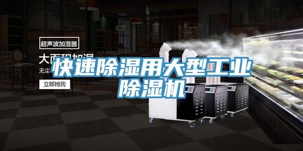 快速除濕用大型工業草莓污视频在线看