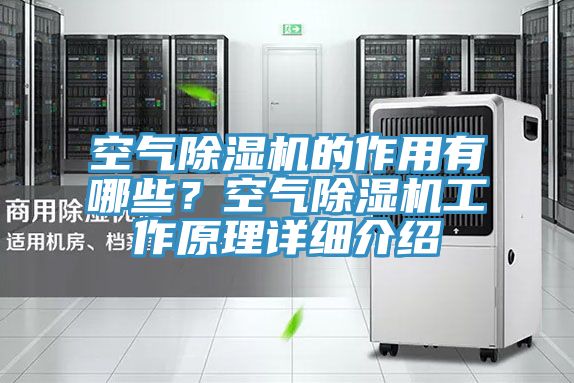 空氣草莓污视频在线看的作用有哪些？空氣草莓污视频在线看工作原理詳細介紹