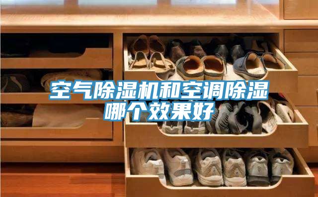 空氣草莓污视频在线看和空調除濕哪個效果好