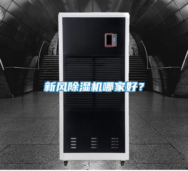 新風草莓污视频在线看哪家好？