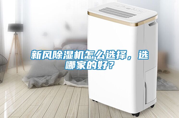 新風草莓污视频在线看怎麽選擇，選哪家的好？