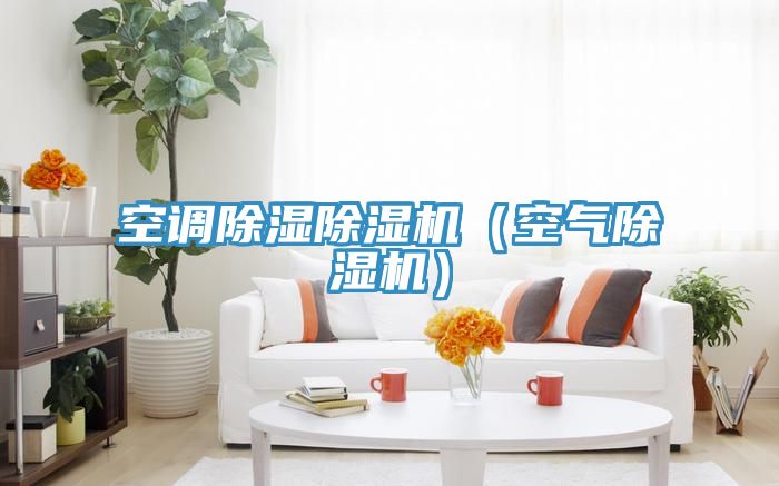 空調除濕草莓污视频在线看（空氣草莓污视频在线看）