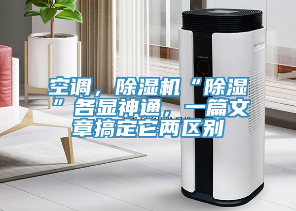 空調，草莓污视频在线看“除濕”各顯神通，一篇文章搞定它兩區別