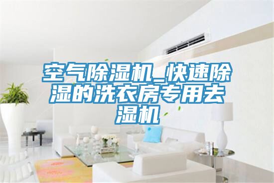 空氣草莓污视频在线看_快速除濕的洗衣房專用去濕機