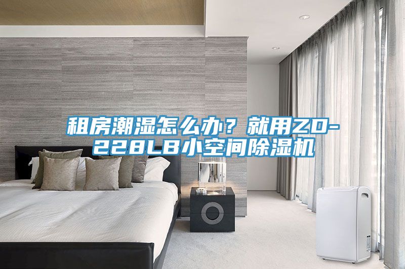 租房潮濕怎麽辦？就用ZD-228LB小空間草莓污视频在线看