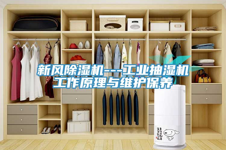 新風草莓污视频在线看---工業抽濕機工作原理與維護保養