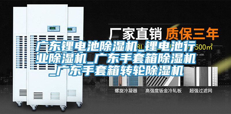 廣東鋰電池草莓污视频在线看_鋰電池行業草莓污视频在线看_廣東手套箱草莓污视频在线看_廣東手套箱轉輪草莓污视频在线看