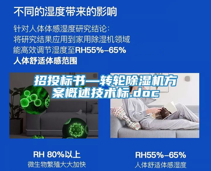 招投標書—轉輪草莓污视频在线看方案概述技術標.doc