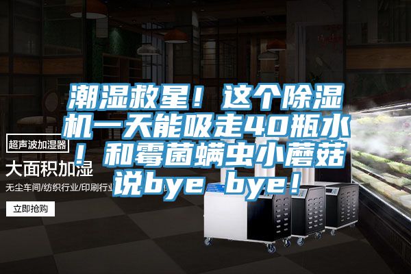 潮濕救星！這個草莓污视频在线看一天能吸走40瓶水！和黴菌蟎蟲小蘑菇說bye bye！