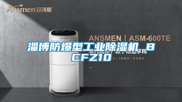 淄博防爆型工業草莓污视频在线看 BCFZ10