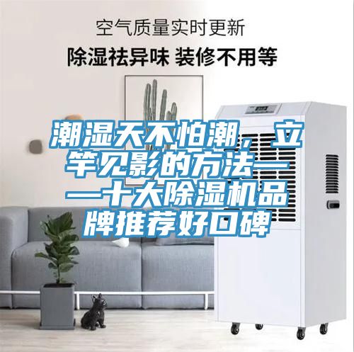 潮濕天不怕潮，立竿見影的方法——十大草莓污视频在线看品牌推薦好口碑
