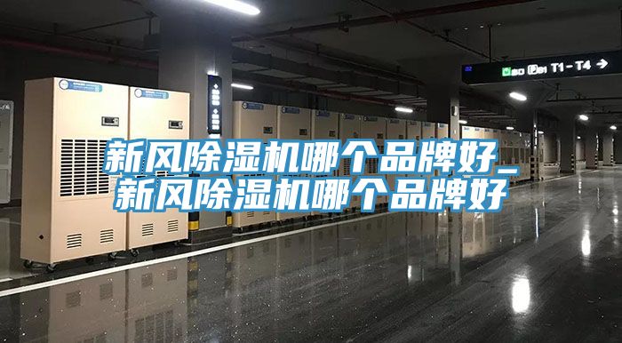 新風草莓污视频在线看哪個品牌好_新風草莓污视频在线看哪個品牌好