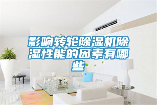 影響轉輪草莓污视频在线看除濕性能的因素有哪些