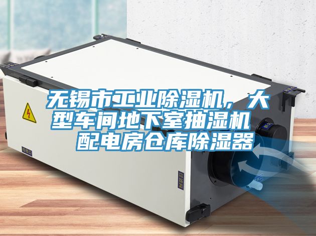 無錫市工業草莓污视频在线看，大型車間地下室抽濕機  配電房倉庫除濕器