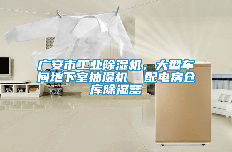 廣安市工業草莓污视频在线看，大型車間地下室抽濕機  配電房倉庫除濕器