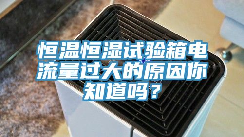 恒溫恒濕試驗箱電流量過大的原因你知道嗎？