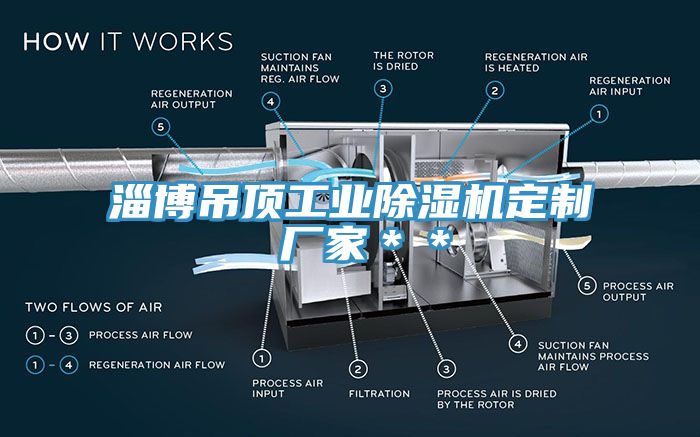 淄博吊頂工業草莓污视频在线看定製 廠家＊＊