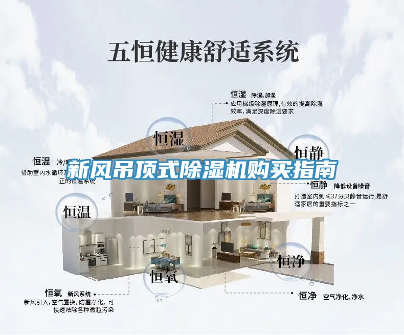 新風吊頂式草莓污视频在线看購買指南