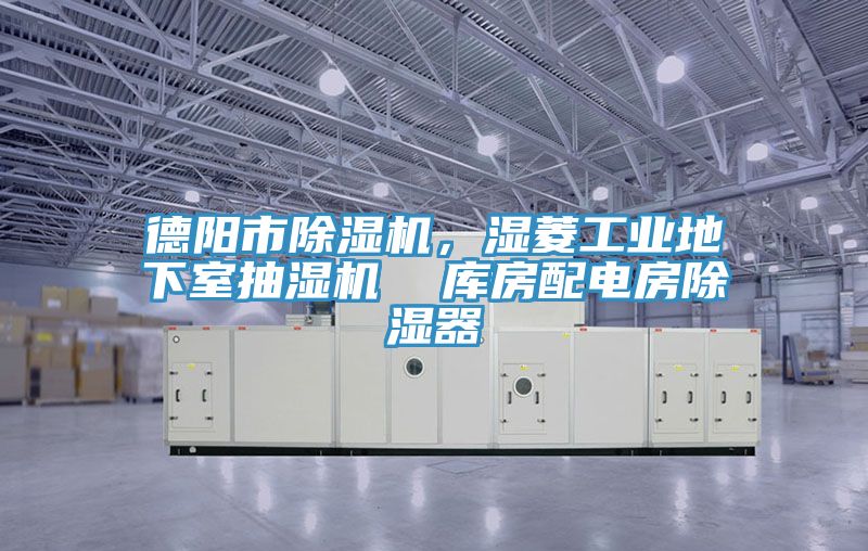 德陽市草莓污视频在线看，濕菱工業地下室抽濕機  庫房配電房除濕器