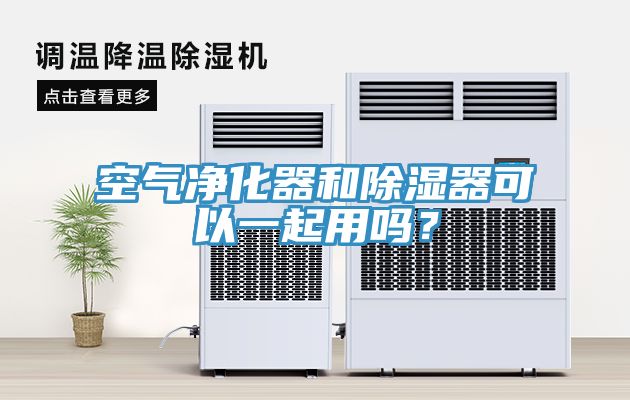 空氣淨化器和除濕器可以一起用嗎？