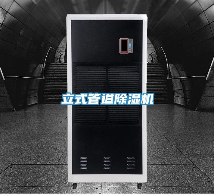 立式管道草莓污视频在线看
