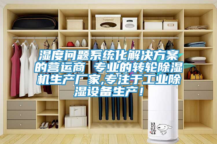 濕度問題係統化解決方案的營運商 專業的轉輪草莓污视频在线看生產廠家,專注於工業除濕設備生產！