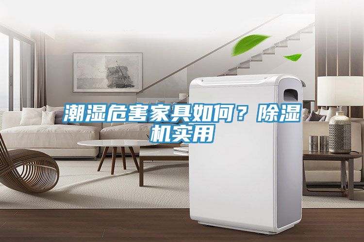 潮濕危害家具如何？草莓污视频在线看實用