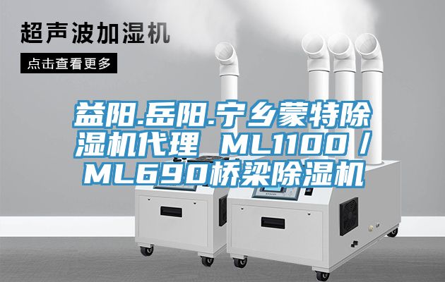 益陽.嶽陽.寧鄉蒙特草莓污视频在线看代理 ML1100／ML690橋梁草莓污视频在线看