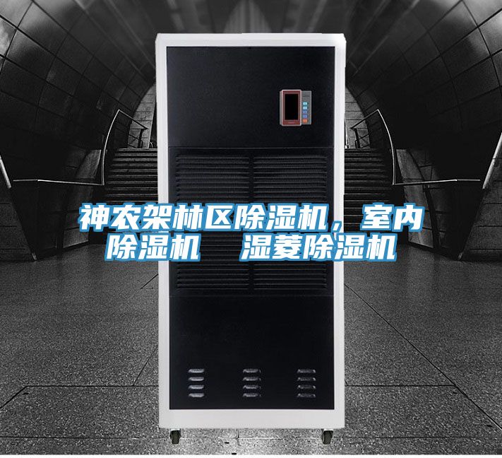 神農架林區草莓污视频在线看，室內草莓污视频在线看  濕菱草莓污视频在线看