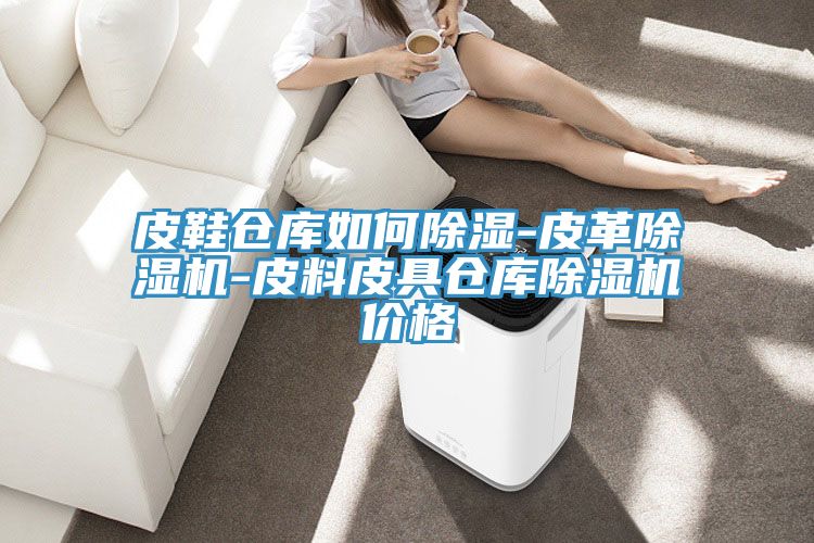 皮鞋倉庫如何除濕-皮革草莓污视频在线看-皮料皮具倉庫草莓污视频在线看價格