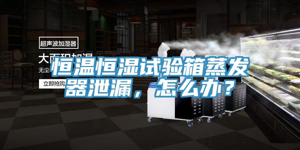 恒溫恒濕試驗箱蒸發器泄漏，怎麽辦？