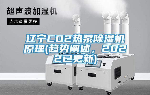 遼寧CO2熱泵草莓污视频在线看原理(趨勢闡述，2022已更新)