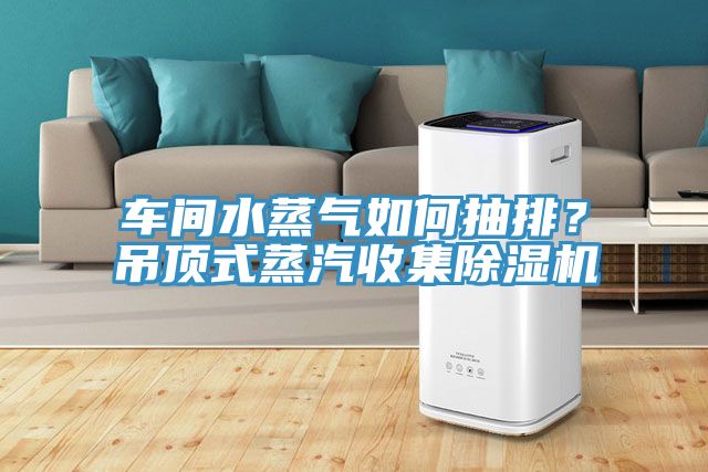 車間水蒸氣如何抽排？吊頂式蒸汽收集草莓污视频在线看