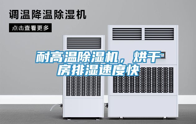 耐高溫草莓污视频在线看，烘幹房排濕速度快