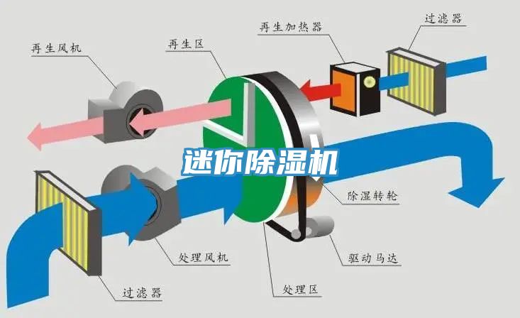 迷你草莓污视频在线看
