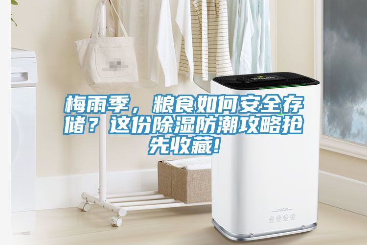 梅雨季，糧食如何安全存儲？這份除濕防潮攻略搶先收藏!