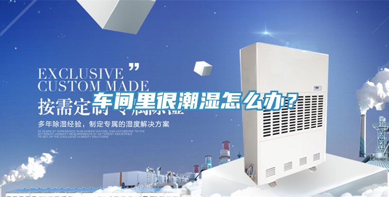 車間裏很潮濕怎麽辦？