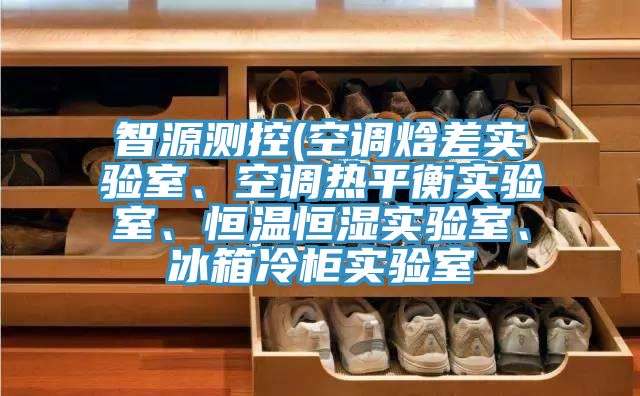 智源測控(空調焓差實驗室、空調熱平衡實驗室、恒溫恒濕實驗室、冰箱冷櫃實驗室